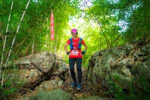 BIB: 044
                            <button type="button" onclick="openModal(22087493)" class="btn btn-primary btn-sm float-right btn-popup" data-toggle="modal" data-target=".modal-high-quality">
                        <i class="fas fa-shopping-cart"></i> Add to Cart
                    </button>
                                            <button type="button" onclick="isThisMe(22087493, true)" class="btn btn-success btn-sm float-right btn-popup btn-isme hidden" data-toggle="tooltip" data-placement="bottom" title="นี่คือรูปของคุณใช่ไหม คลิกที่นี่เพื่อเอาเข้าอัลบั้ม">
                        <i class="fas fa-plus"></i> Add to album
                    </button>
                    <button type="button" onclick="isThisMe(22087493, false)" class="btn btn-warning btn-sm float-right btn-popup btn-isnotme hidden">
                        <i class="fas fa-ban"></i> Remove from album
                    </button>